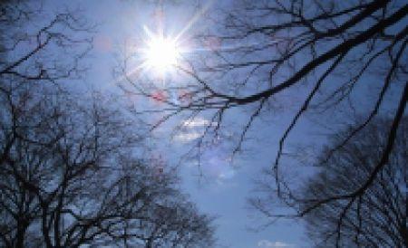 Află cum va fi vremea primăvara aceasta. Ce spun meteorologii