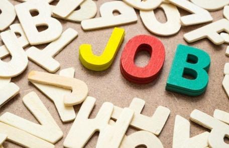 Peste 350 de locuri de muncă vacante la nivelul județului Botoșani. Vezi lista!