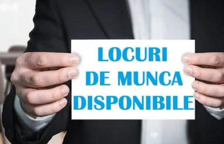 Locurile de muncă vacante la nivelul județului Botoșani luni 25 noiembrie