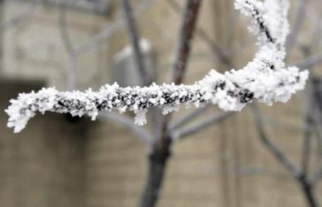 Meteo: Cum va fi vremea în weekend