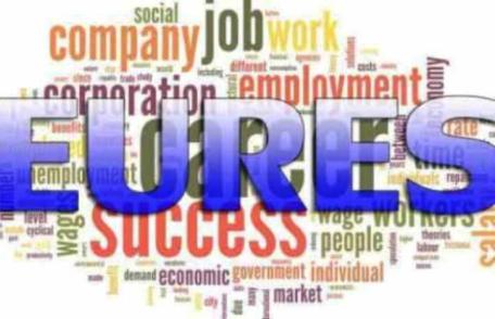 AJOFM Botoșani anunță 200 locuri de muncă vacante prin intermediul reţelei EURES