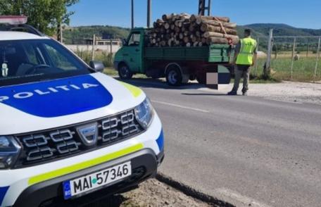 Acțiunile pentru prevenirea și combaterea tăierilor ilegale de arbori continuă în județul Botoșani