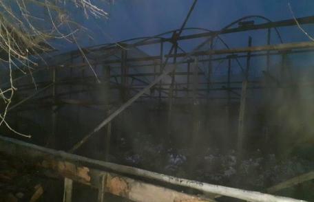 Incendiu la un solar din Săveni. Acesta și cinci tone de lemne au fost distruse de foc