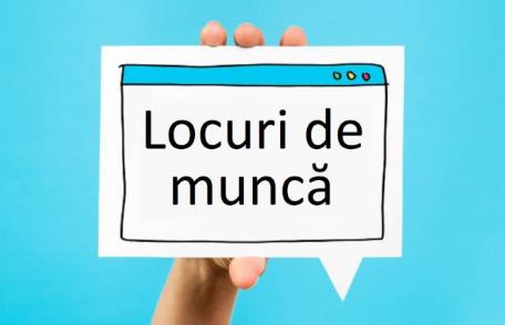 Peste 450 de locuri de muncă vacante la nivelul județului Botoșani