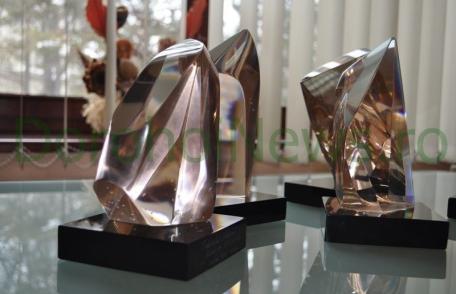 Festivalul Mărţişor Dorohoian se ve desfăşura în acest sfârşit de săptămână