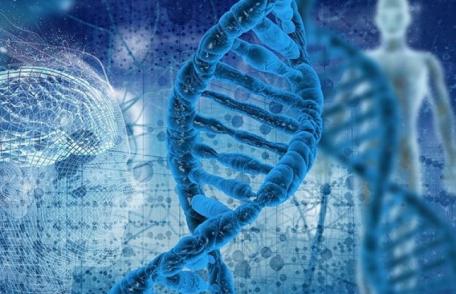 Olimpiada de biologie - Colecție de premii și două calificări la etapa națională pentru elevii de la Liceul „Regina Maria” Dorohoi