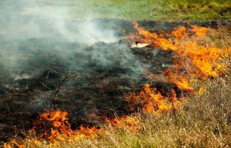 Fermieri sancționați pentru incendierea de terenuri agricole