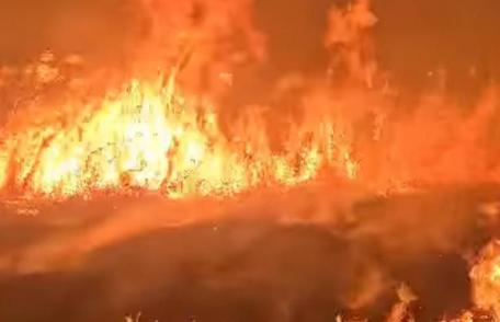 Pompierii au intervenit pentru stingerea a trei incendii de vegetație uscată, stuf și crengi uscate