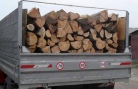 Material lemnos confiscat de polițiști la Șendriceni