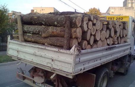 Material lemnos fără documente de proveniență confiscat 
