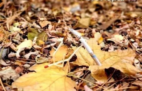 Depozit de furaje cuprins de flăcări la Vârfu Câmpului din cauza unei țigări aprinse