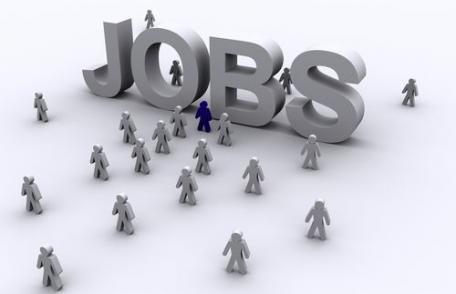 Peste 360 de locuri de muncă vacante la nivelul județului Botoșani