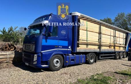 Peste 50 de metri cubi de material lemnos confiscat de polițiști în comuna Suharău