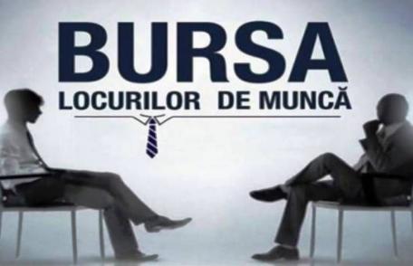 AJOFM Botoșani organizează Bursa Generală a Locurilor de Muncă 2025