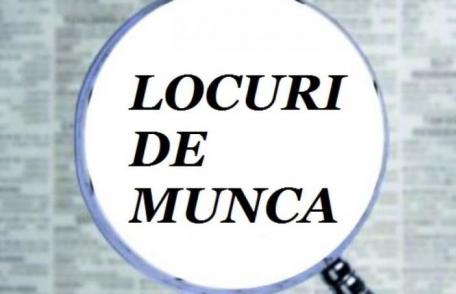 Locuri de muncă vacante și programe de formare pentru care se organizează înscrieri în săptămâna 12-18 aprilie la Botoșani