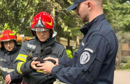 Jandarmii și pompierii au salvat un pui de gaiță, aflat în pericol