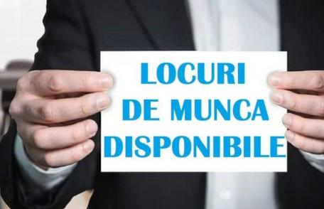Locuri de muncă vacante și programe de formare pentru care se organizează înscrieri în săptămâna 16-22 iunie la Botoșani