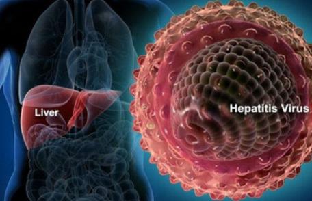 Virusuri hepatitice mai puțin cunoscute