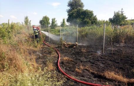 Pompierii au intervenit pentru stingerea a trei incendii de vegetație uscată în ultimele 24 de ore