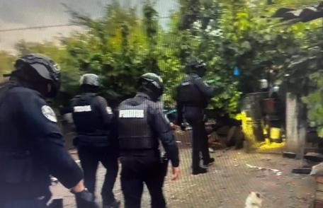 Dosar penal și sancțiune pentru neluarea măsurilor de prevenire a atacului canin 