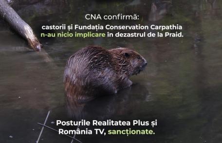 CNA sancționează televiziunile care au promovat dezinformarea privind castorii și Salina Praid
