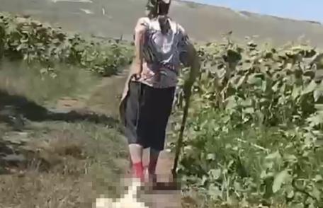 Anchetă a Poliției Animalelor în cazul femeii filmate în timp ce târâia un cățel legat