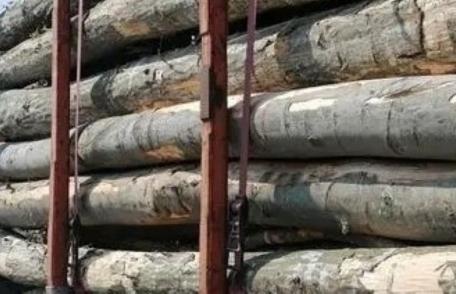 Material lemnos confiscat la Ibănești