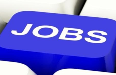 Locuri de muncă vacante și programe de formare pentru care se organizează înscrieri în săptămâna 1-7 septembrie la Botoșani