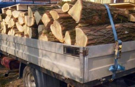Material lemnos confiscat de către polițiști la Vlăsinești