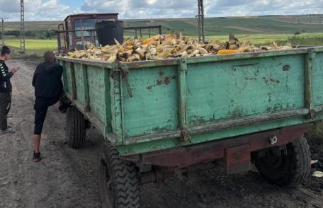 Polițiștii din Vlăsinești au identificat un tractor încărcat cu porumb furat