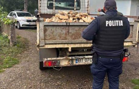 Sancțiune de 2.000 de lei și material lemnos confiscat 