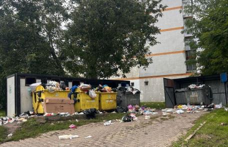 Primim la redacție – „Caut o modalitate de a mă plânge de modul în care este gestionat gunoiul în Dorohoi” – FOTO