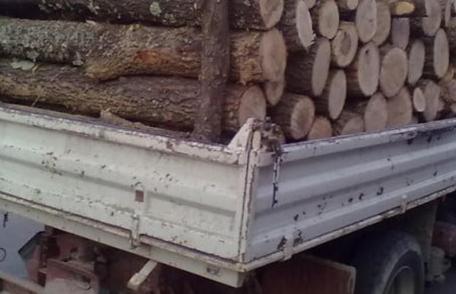 Material lemnos confiscat de către polițiști la Dorohoi