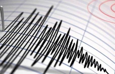 Cutremur cu magnitudinea de 4,2 pe scara Richter a avut loc în zona seismică Vrancea