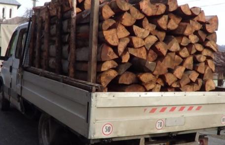 Doi bărbați sancționați pentru transport ilegal de material lemnos