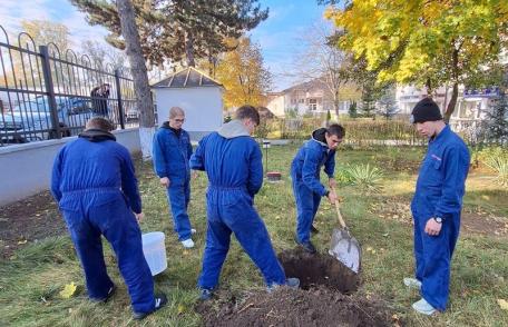 „Plantăm speranță în pământ și culoare pe hârtie” – activitate a Școlii Profesionale Speciale „Ion Pillat” Dorohoi