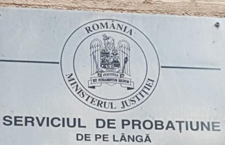 Activități pentru promovarea integrității desfășurate în colaborare cu Serviciul de Probațiune Botoșani