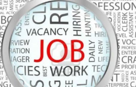 Locurile de muncă vacante la nivelul județului Botoșani la 03.11.2025