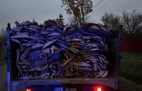Doi metri cubi de material lemnos confiscat de poliţiştii dorohoieni