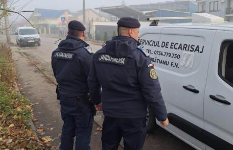 Botoșăneancă amendată după ce a lăsat în libertate pe spațiul public, un câine agresiv