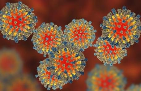 Virusul rujeolic sterge „memoria” sistemului imunitar. Iată cât de grav este