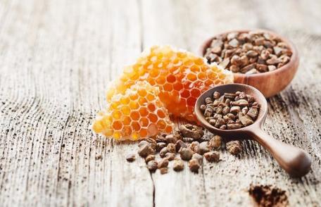 Tinctura de propolis: 10 beneficii pentru sănătate, dovedite științific