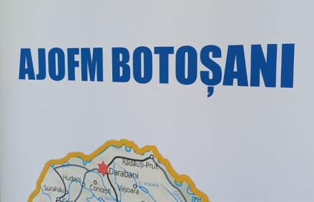 2.680 persoane angajate prin intermediul AJOFM Botoșani, în perioada ianuarie-octombrie 2025