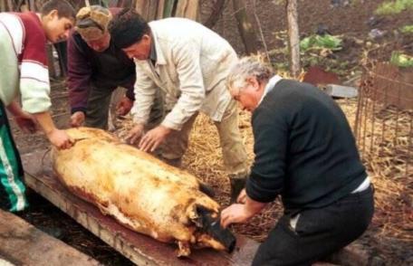 Carnea de porc provenită din sacrificări în gospodărie nu poate fi comercializată! ANSVSA reamintește regulile privind comerțul de sărbători