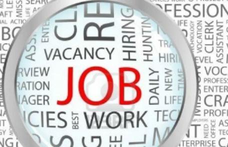 Locurile de muncă vacante la nivelul județului Botoșani - 22.12.2025