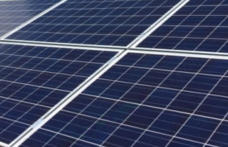 NATURAL HEMP HEART SRL: Comunicat de presă pentru începerea proiectului