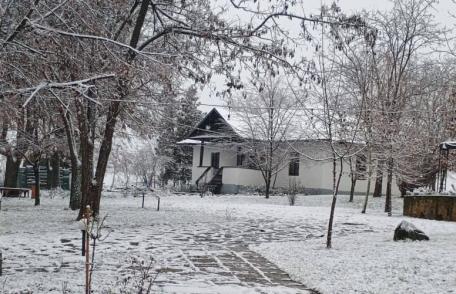 Ateliere pentru elevi și vizite la scriitori acasă în cadrul evenimentului Zilele Eminescu