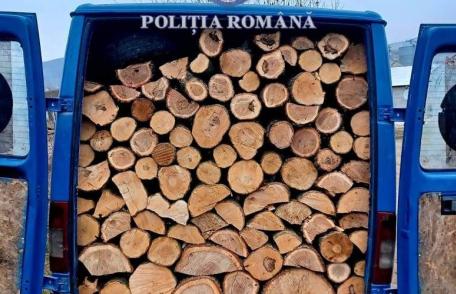 Material lemnos confiscat de polițiști la Bucecea