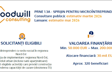 Goodwill Dorohoi: PRNE 1.3A – Sprijin pentru microîntreprinderi 2026: Oportunitate pentru Regiunea Nord-Est