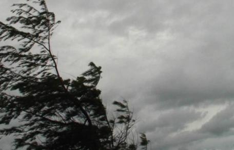 Cod galben de vânt pentru județul Botoșani